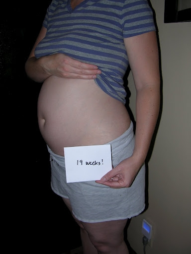 беременность 19 неделя