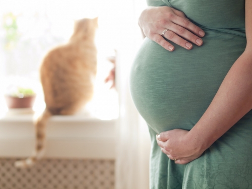 Как животные влияют на беременность?