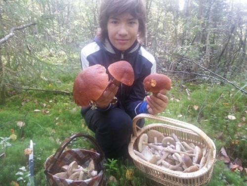 Наступила осень, пришло время собирать грибы
